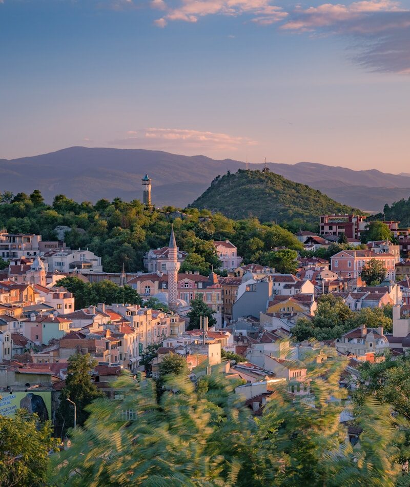 a small town surrounded by trees and mountains