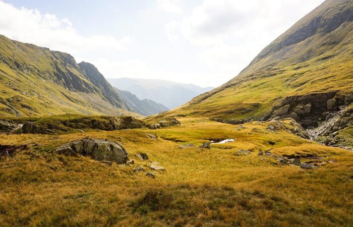 transilvania, romania, alpine, mountains, grass, mountain range, mountainous, mountain valleys, valleys, fields, prairie, grasslands, mountain landscape, nature, landscape, sky, rocky, fagarasi, romania, romania, romania, romania, romania, mountains, prairie, prairie